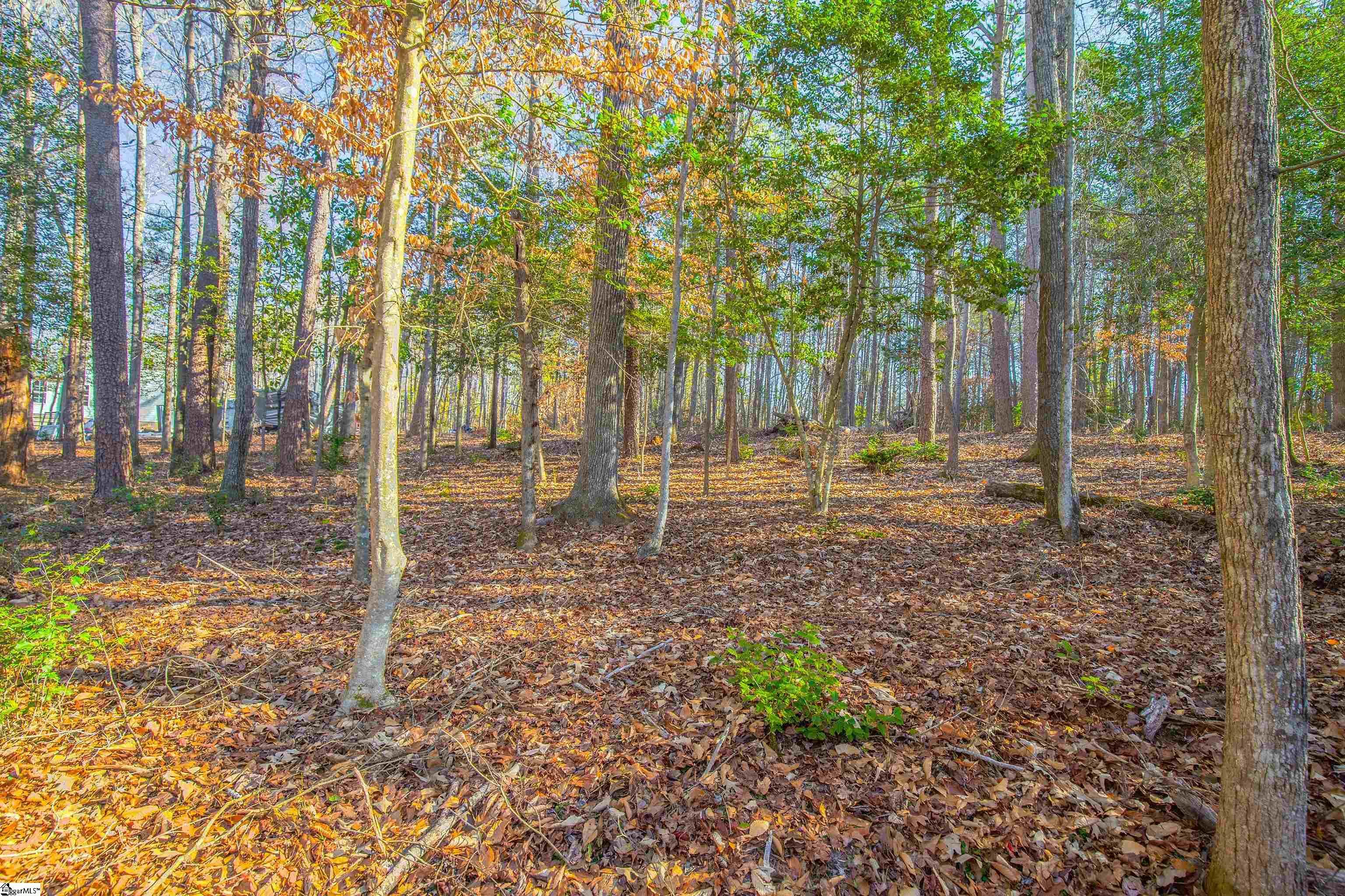 1009 Center Road Taylors, SC 29687 - Photo 4 of 15 Gallery Image 4