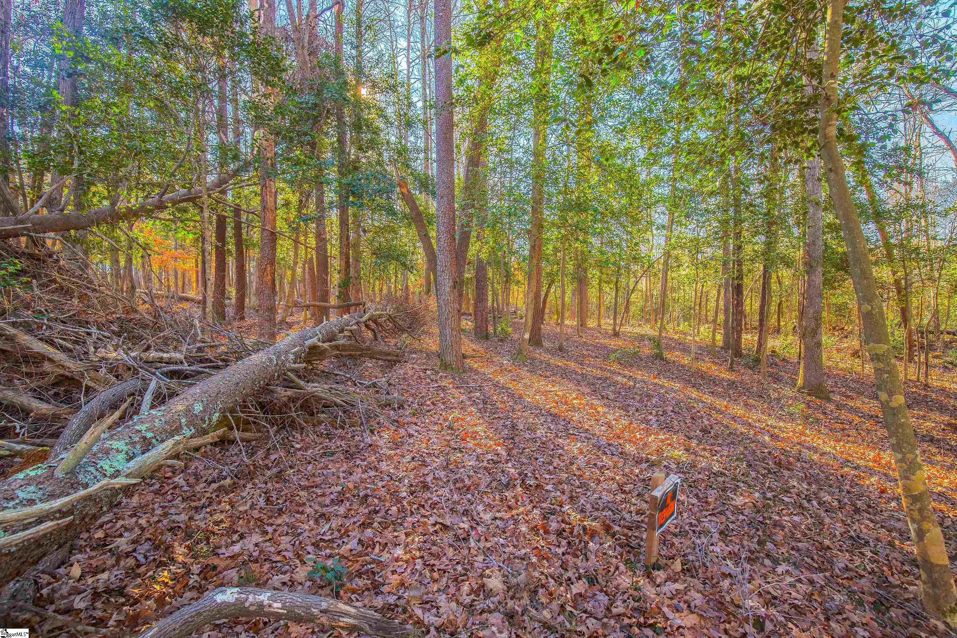 1009 Center Road Taylors, SC 29687 - Photo 7 of 15 Gallery Image 7