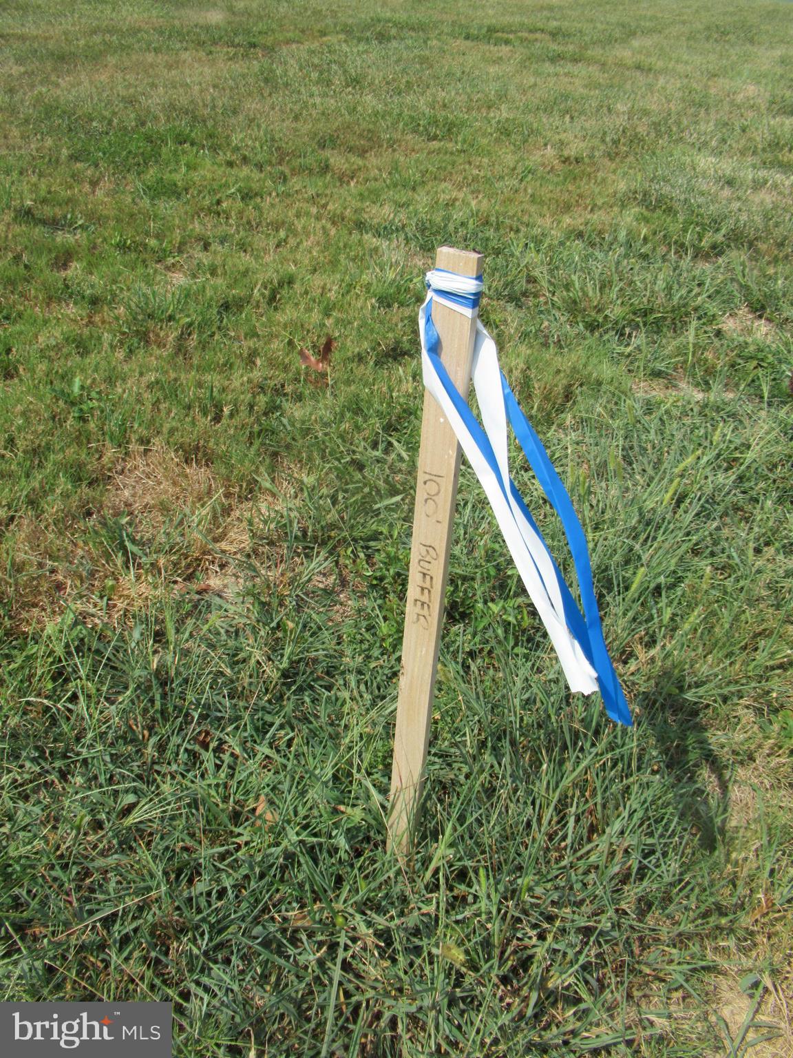 24378 Deep Neck Road Royal Oak, MD 21662 - Photo 13 of 21 !00 Ft Setback marker