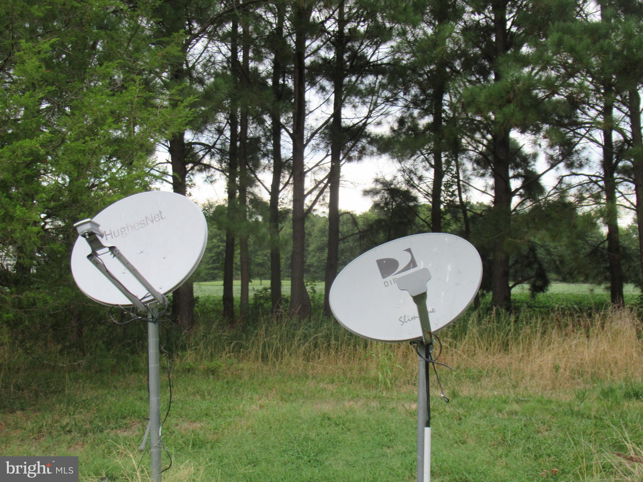 24378 Deep Neck Road Royal Oak, MD 21662 - Photo 18 of 21 Hughs net and dish recievers