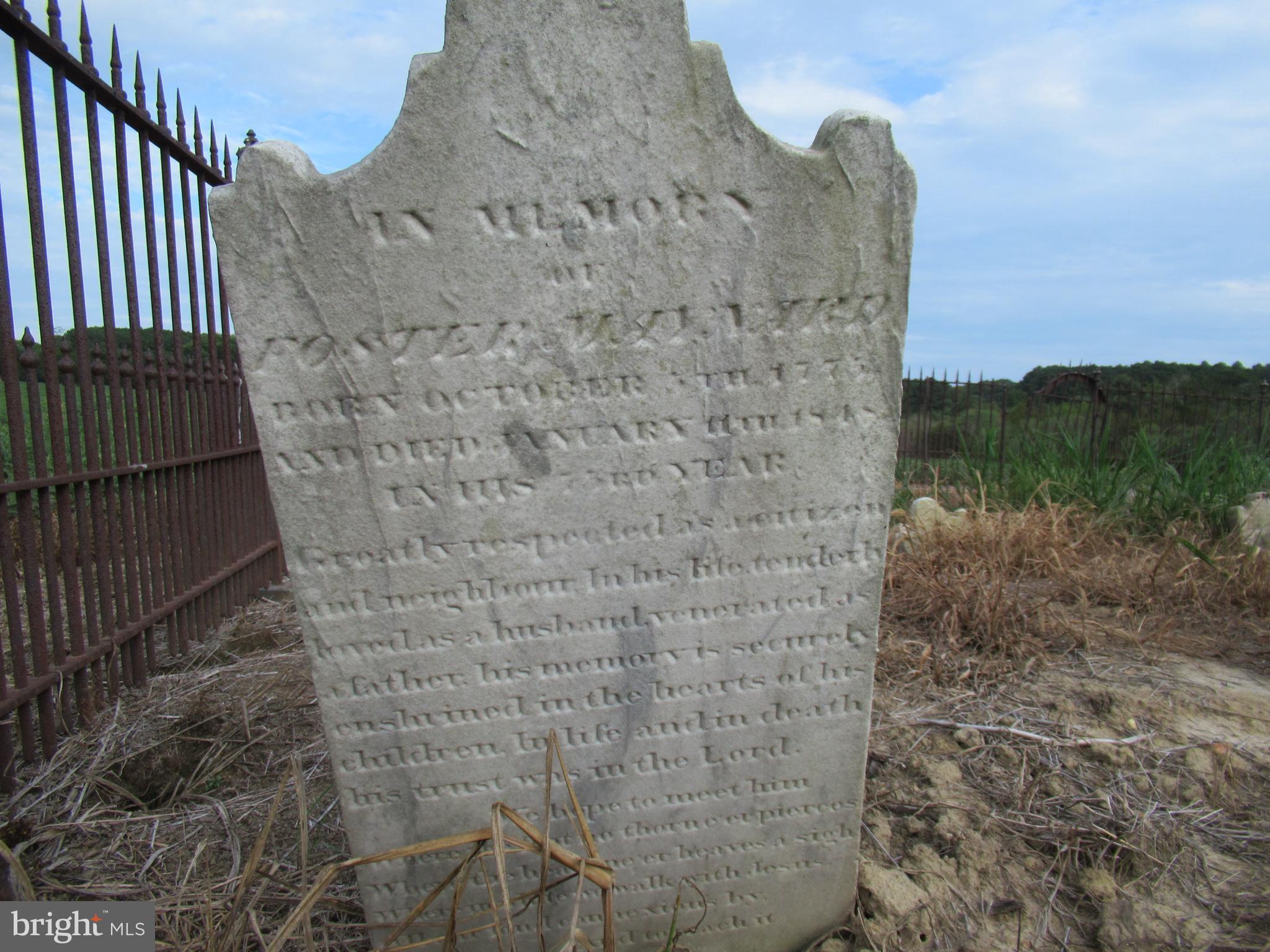 24378 Deep Neck Road Royal Oak, MD 21662 - Photo 21 of 21 First in 1791