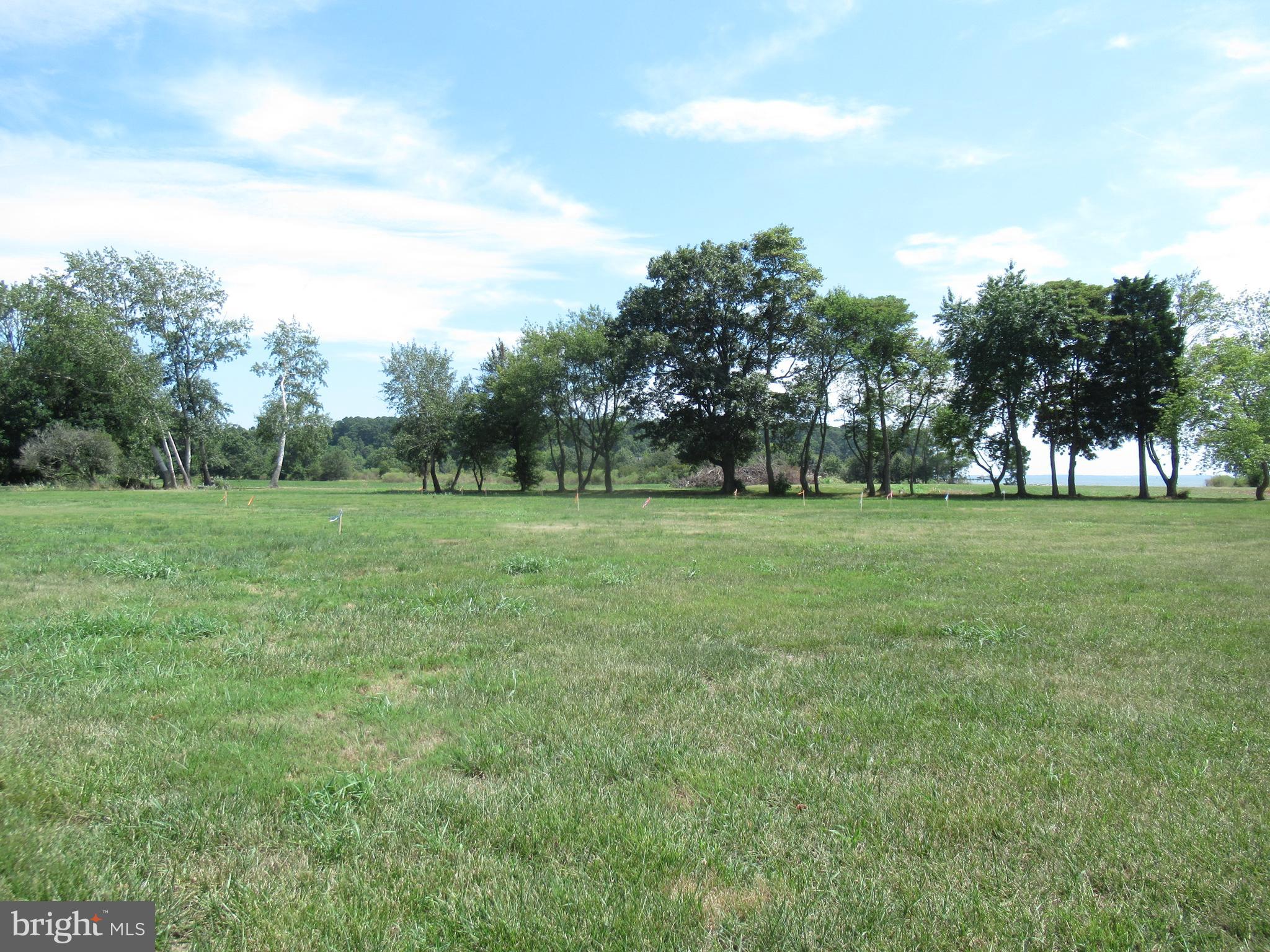 24378 Deep Neck Road Royal Oak, MD 21662 - Photo 4 of 21 wide open space