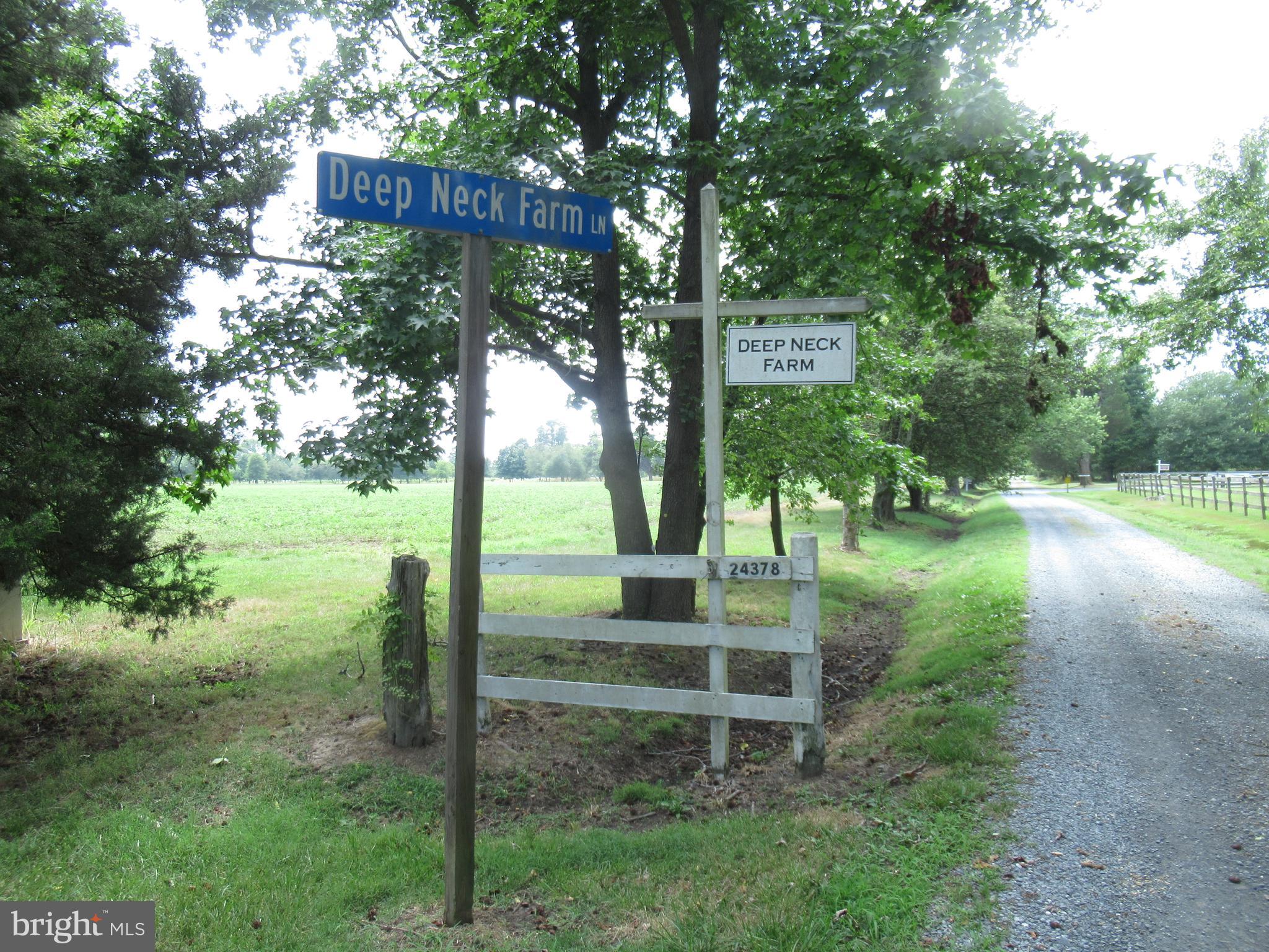 24378 Deep Neck Road Royal Oak, MD 21662 - Photo 6 of 21 Entrance to the Property