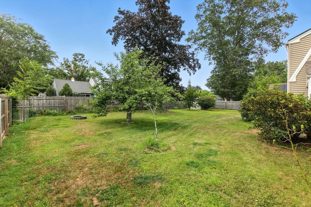 384 Abbott Street Springfield, MA 01118 - Photo 23 of 26 a backyard of a house with plants and large trees