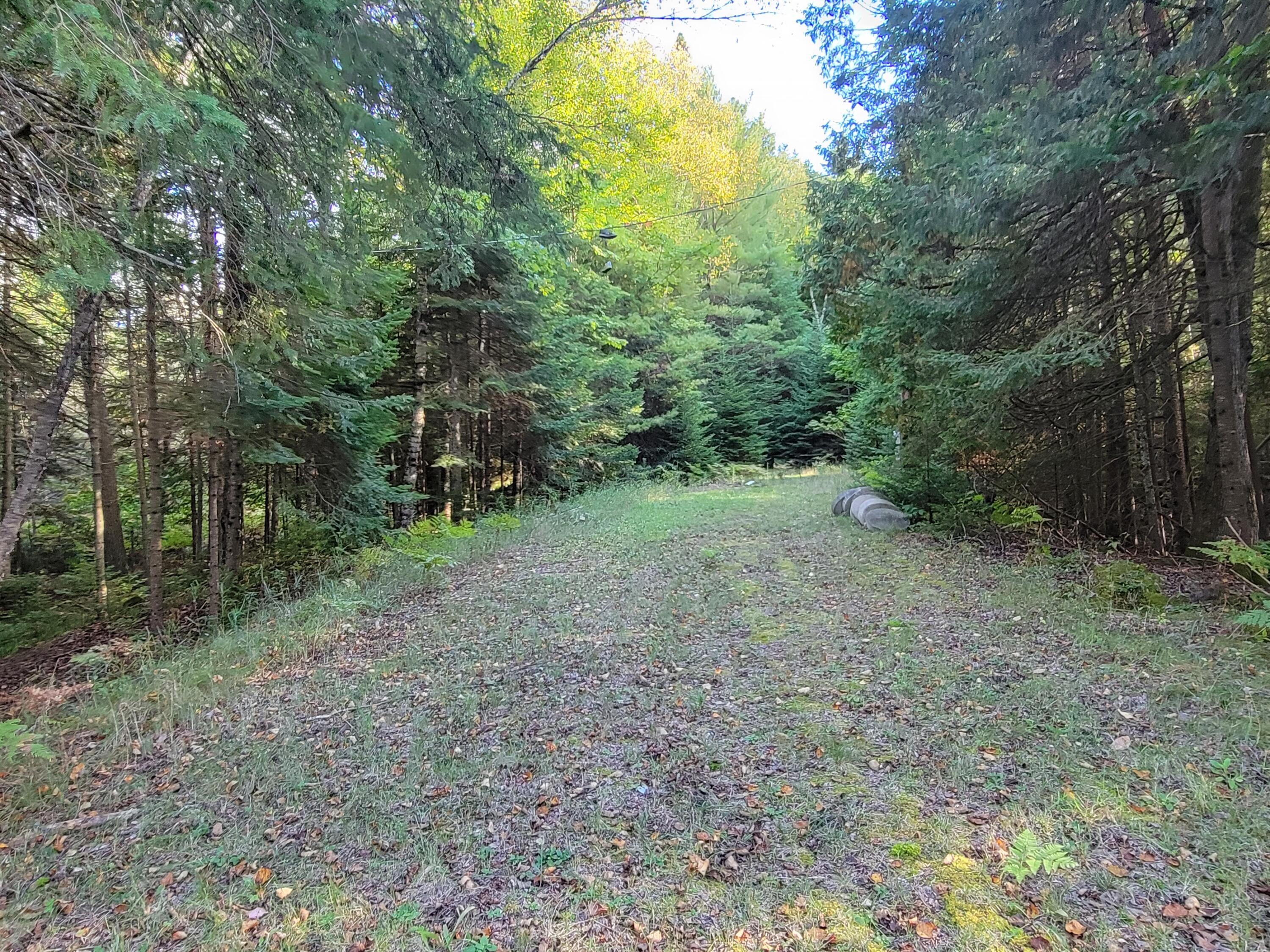 Lot 1 Brevort Camp Road Moran, MI 49760 - Photo 32 of 66 Gallery Image 32