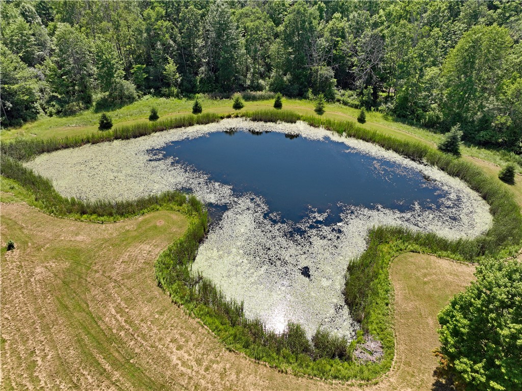 3390 Beeman Hollow Road Erwin, NY 14801 - Photo 6 of 40