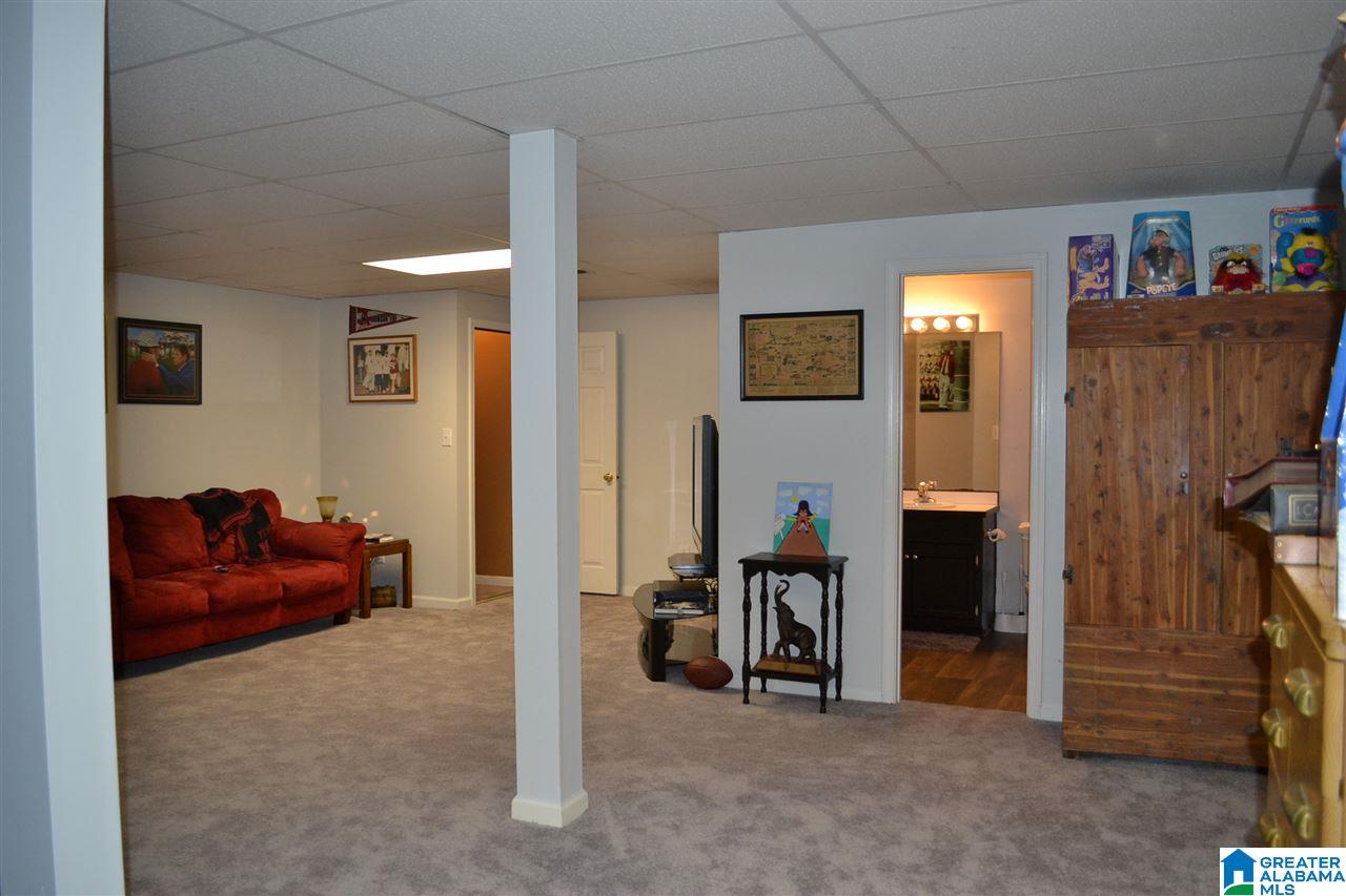 52 Oak Drive Remlap, AL 35133 - Photo 33 of 47