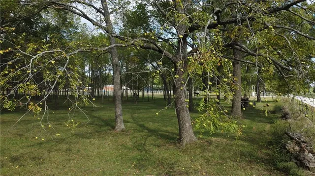 $350,000 | 11191 Co Ln 176, Carthage, MO 64836