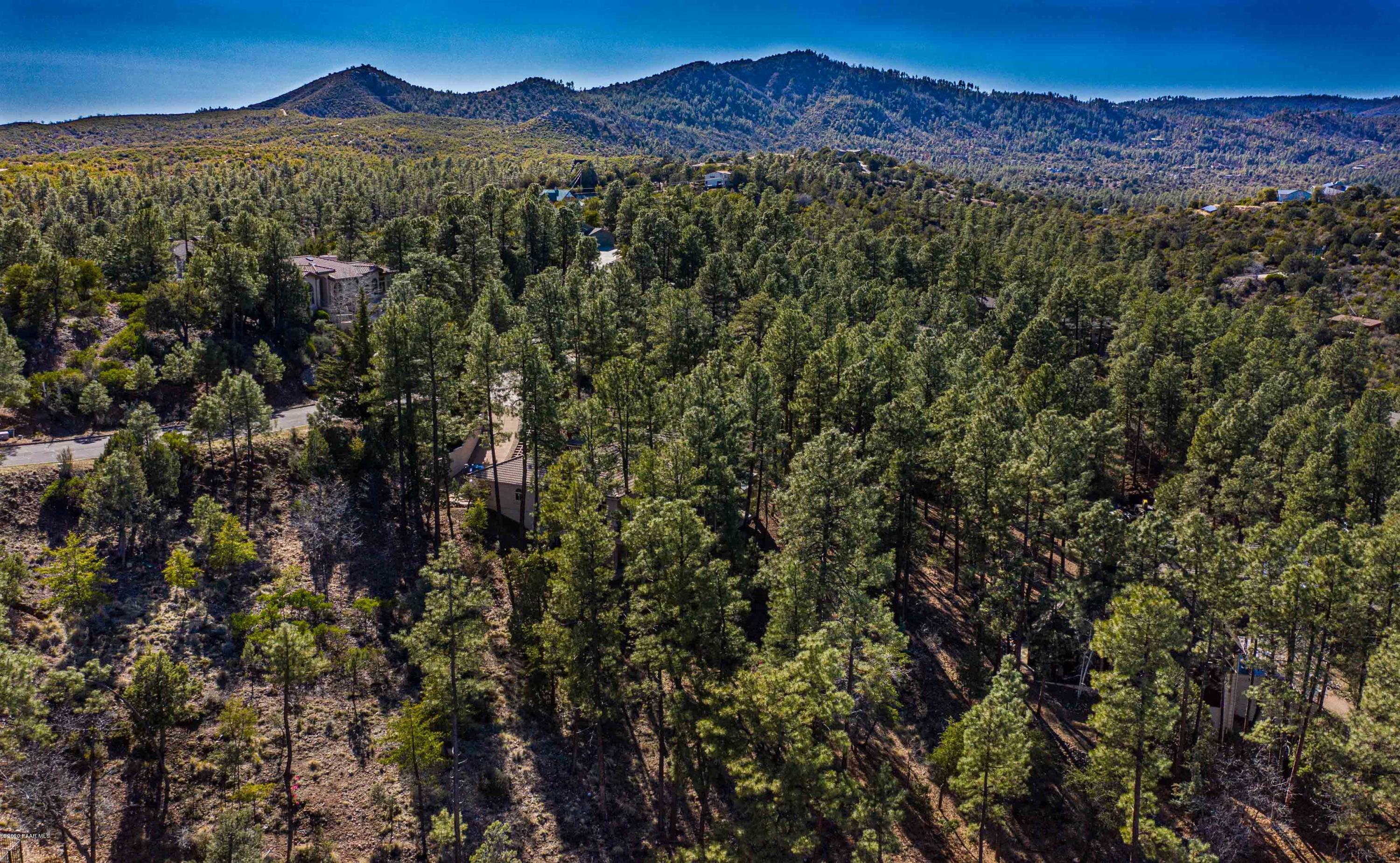 1407 East Valley View Road Prescott, AZ 86303 - Photo 2 of 5 a view of a forest with a mountain