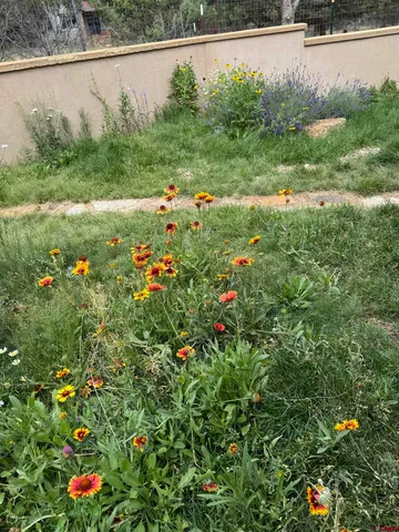 a view of a lake with a park