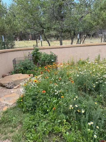 a view of yard with green space