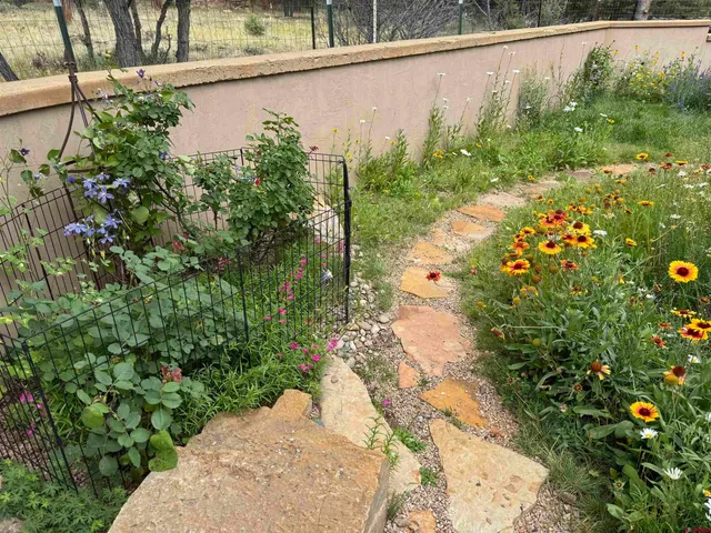 a view of a garden with a fountain