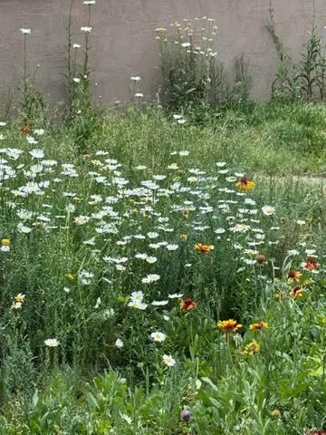 a view of lake with green space