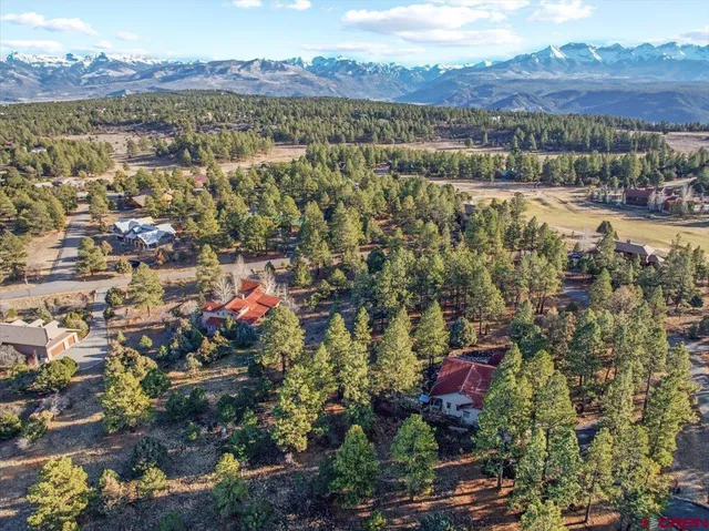 an aerial view of a house with a lake view