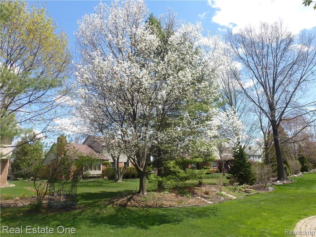 3536 Holiday Court Rochester Hills, MI 48306 - Photo 13 of 63