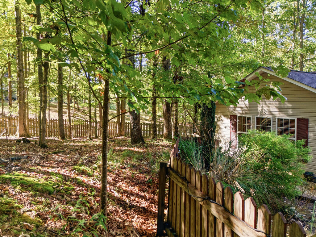 654 Ford Road Warne, NC 28909 - Photo 56 of 61 Gallery Image 56