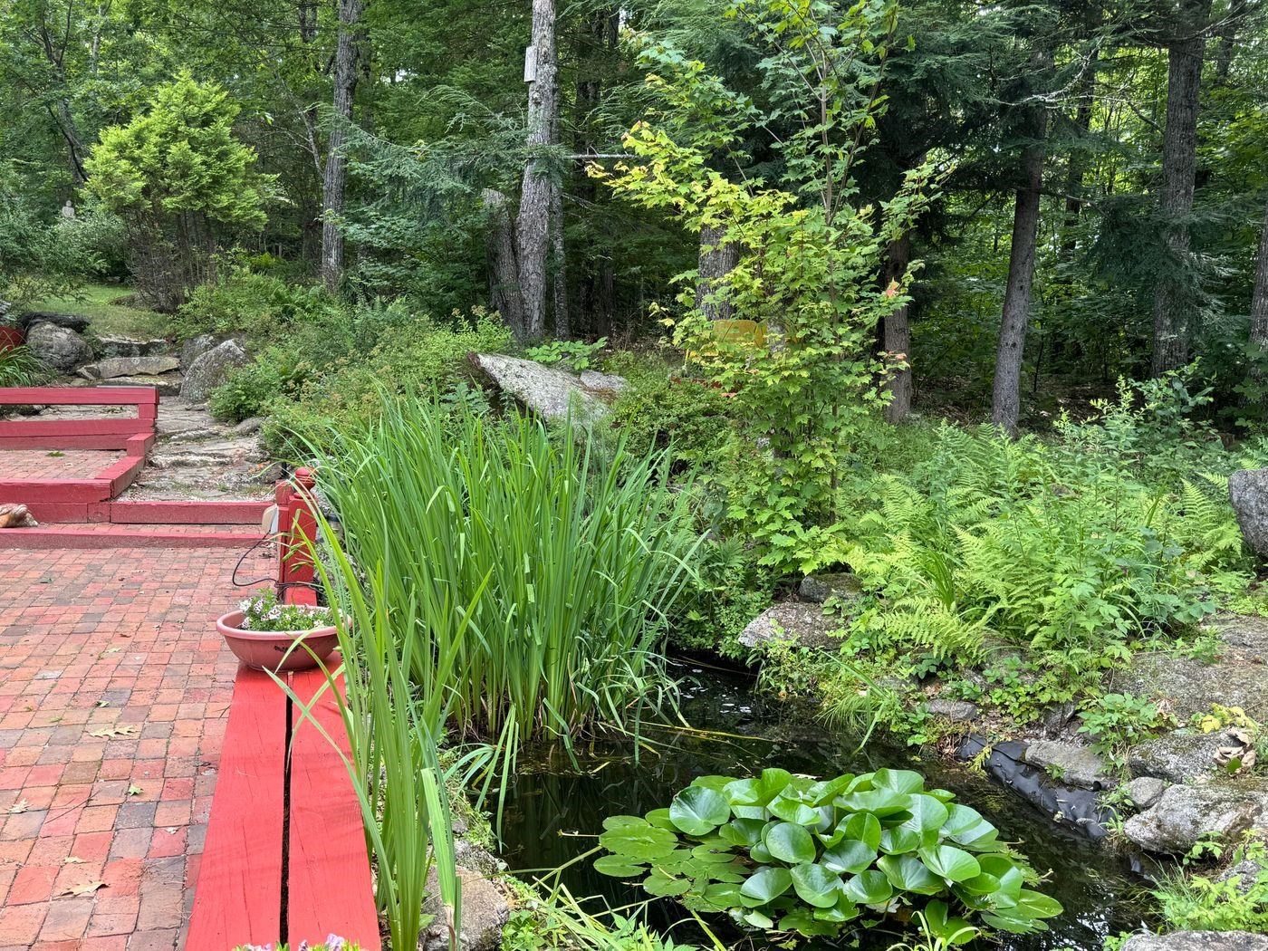 906 Shedd Hill Road Stoddard, NH 03464 - Photo 31 of 40