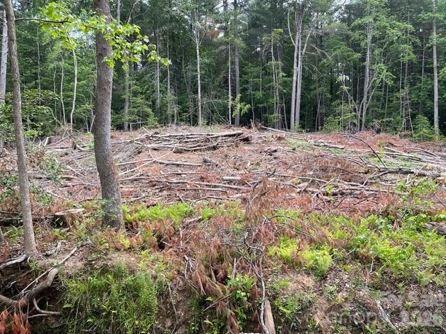 Tbd Fowler Road Granite Falls, NC 28630 - Photo 12 of 22 a view of outdoor space with trees