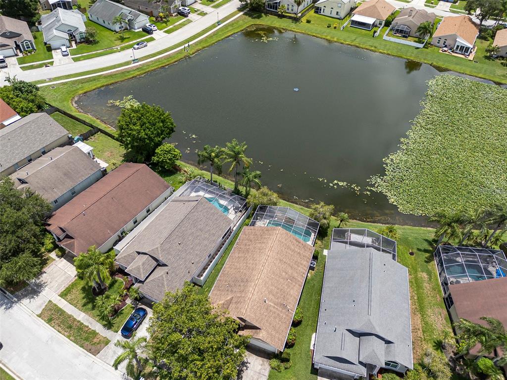 8512 Heyward Road Tampa, FL 33635 - Photo 70 of 73 Gallery Image 70