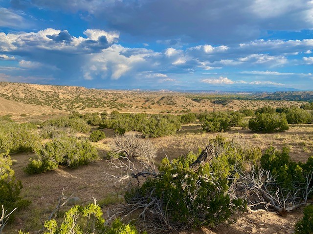 Lot 79 County Road Abiquiu, NM 87510 - Photo 4 of 11