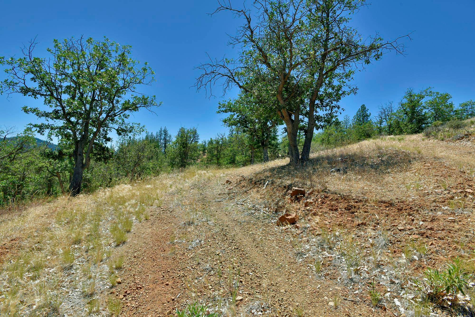 5524 Scott River Road Fort Jones, CA 96032 - Photo 47 of 50 Gallery Image 47