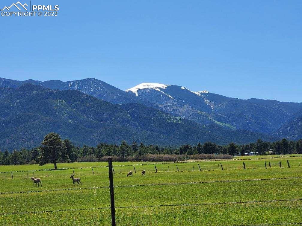 10199 Singer Lane Rye, CO 81069 - Photo 6 of 39 a view of grassy field with mountain in the background