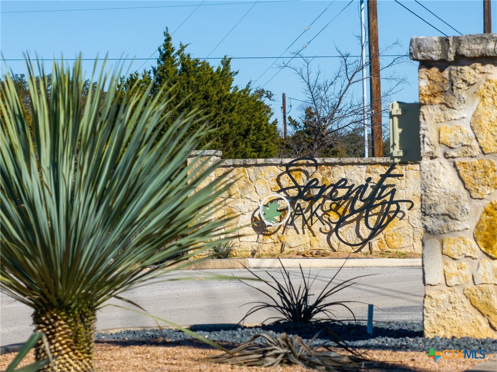 319 Serenity Pass Spring Branch, TX 78070 - Photo 23 of 26 a view of a plant in a backyard