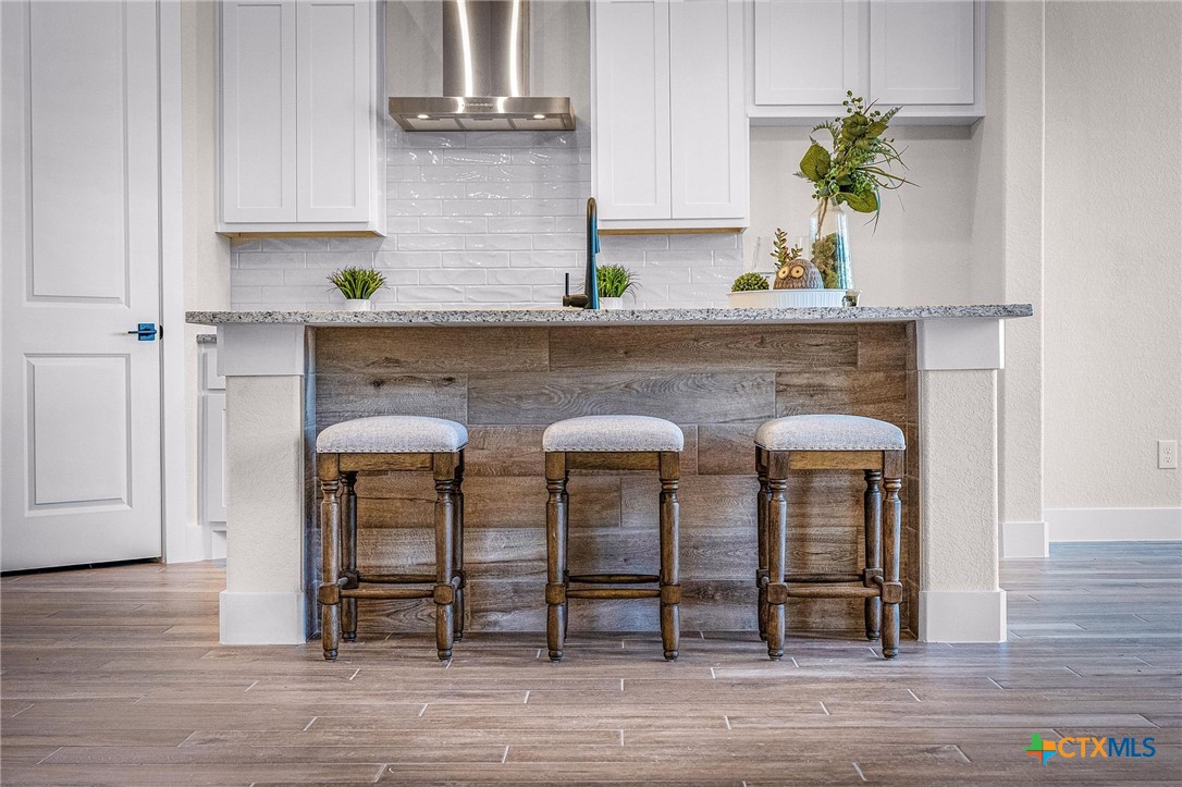 319 Serenity Pass Spring Branch, TX 78070 - Photo 3 of 26