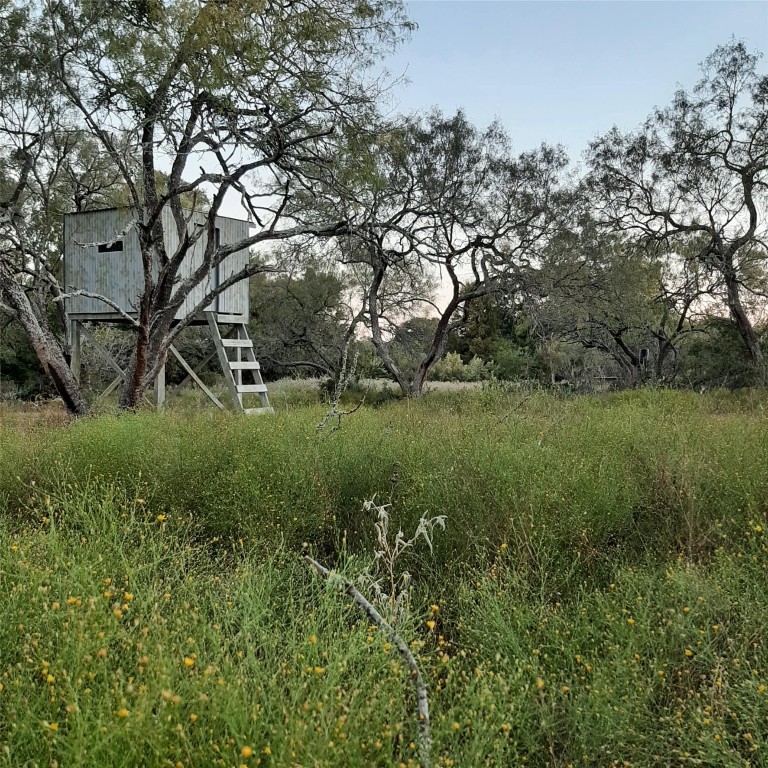 3160 Pettytown Road Dale, TX 78616 - Photo 15 of 37