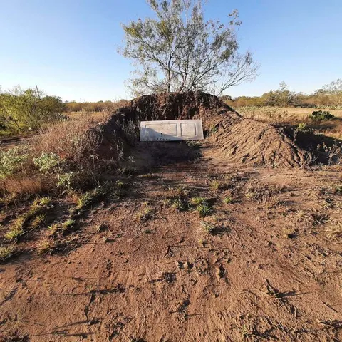 a view of backyard of house