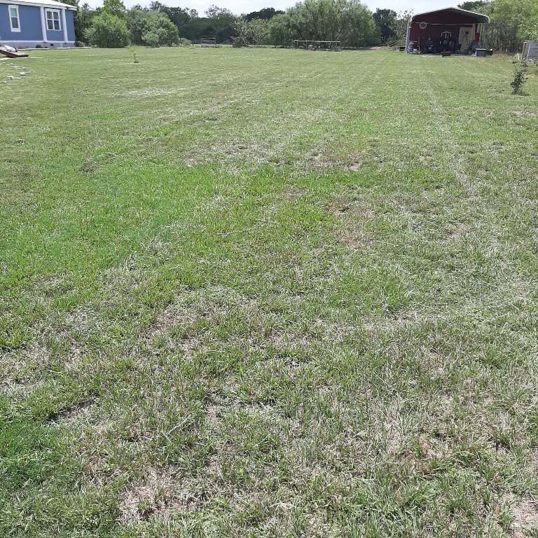 3160 Pettytown Road Dale, TX 78616 - Photo 2 of 37 a view of an outdoor space and a yard