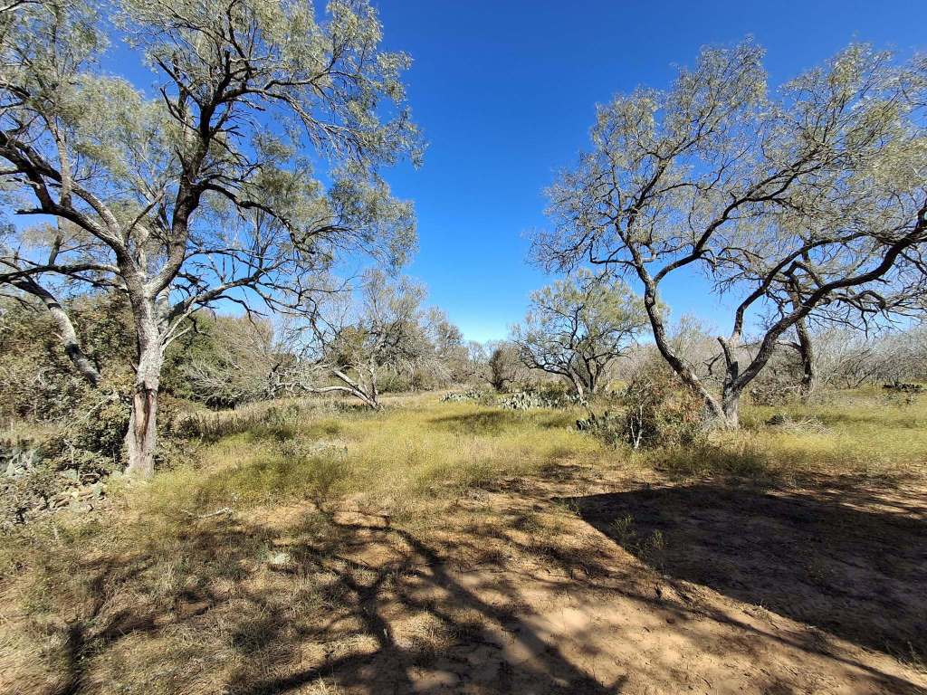 3160 Pettytown Road Dale, TX 78616 - Photo 21 of 37