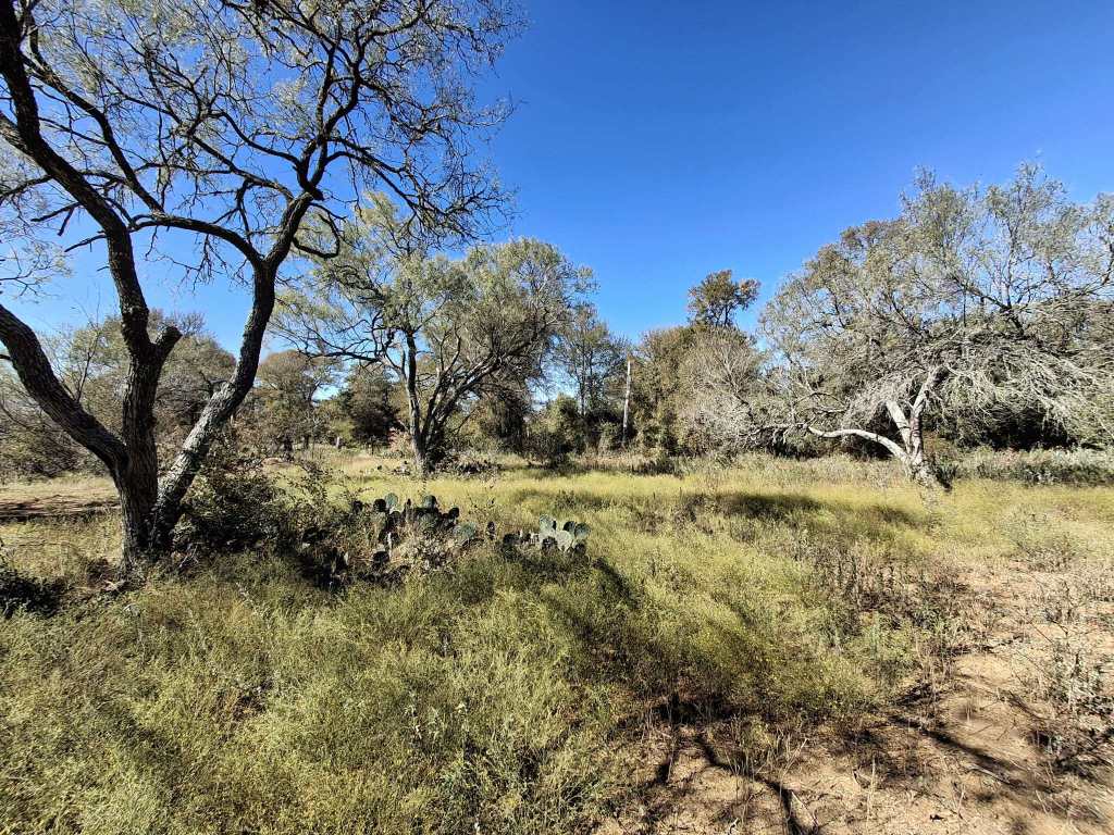 3160 Pettytown Road Dale, TX 78616 - Photo 22 of 37 a view of mountain view with trees in the background