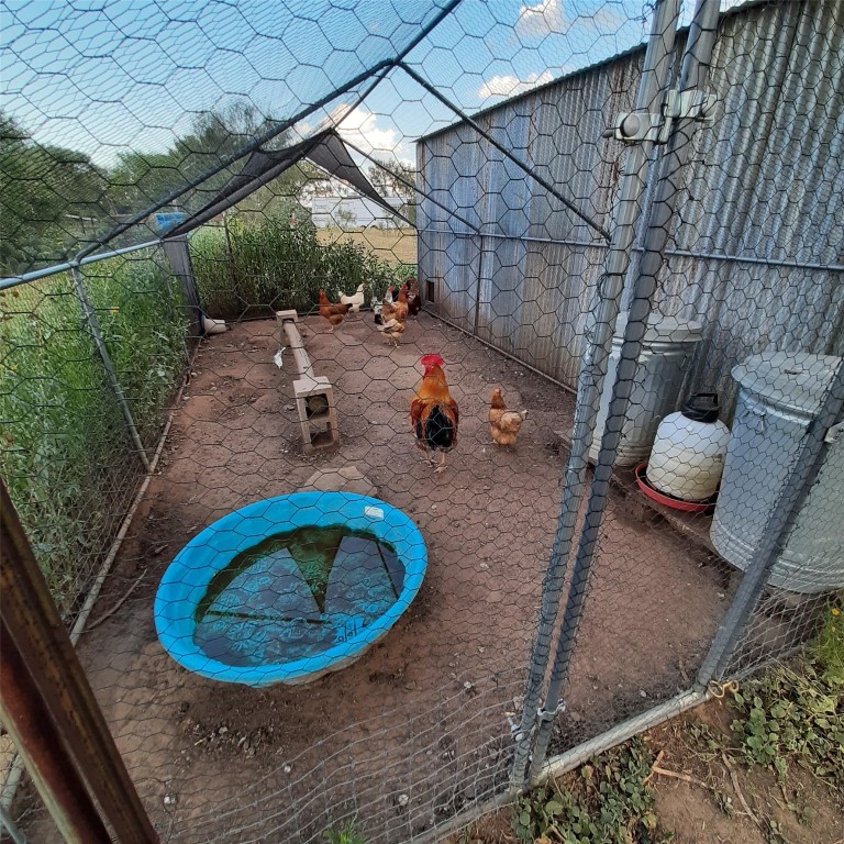 3160 Pettytown Road Dale, TX 78616 - Photo 5 of 37