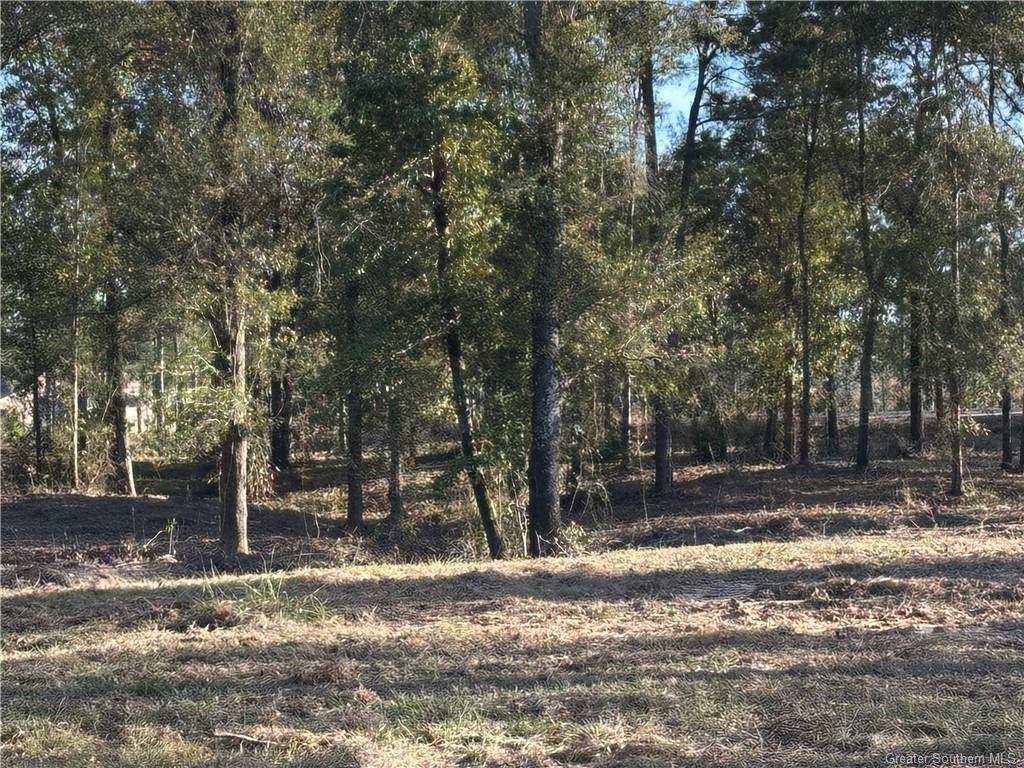 1 Conway Rosteet Road Ragley, LA 70657 - Photo 3 of 8