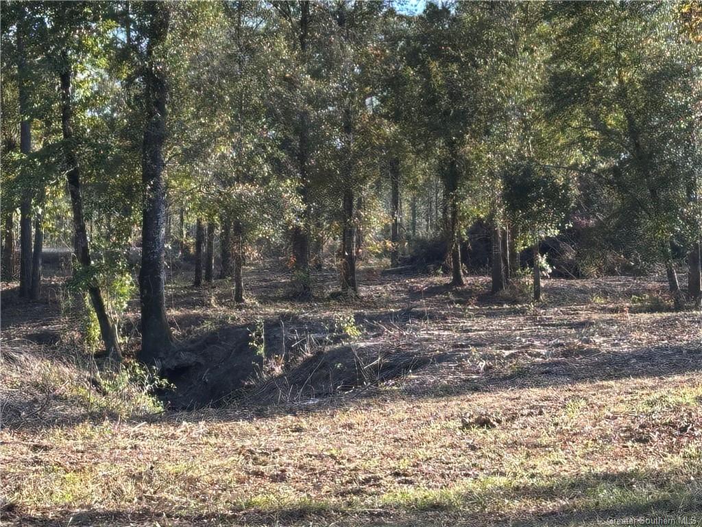 1 Conway Rosteet Road Ragley, LA 70657 - Photo 5 of 8