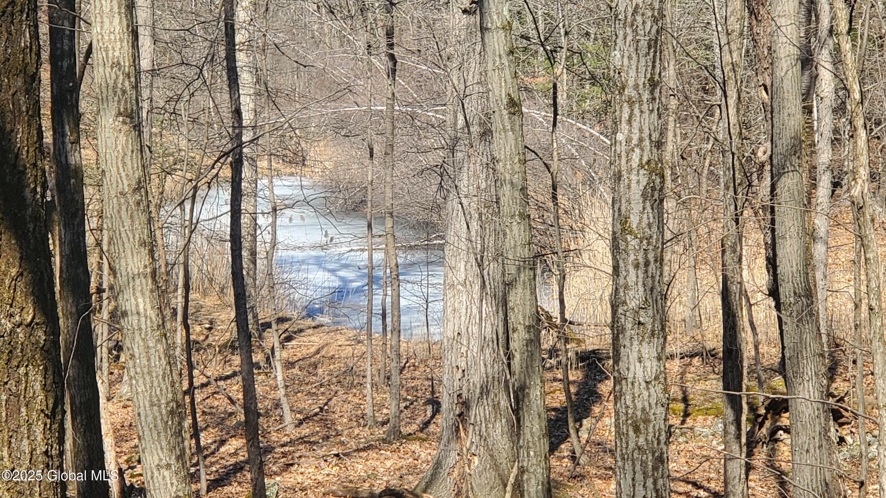 L25 Fischer Road Kinderhook, NY 12106 - Photo 22 of 30 POND VIEW-WINTER