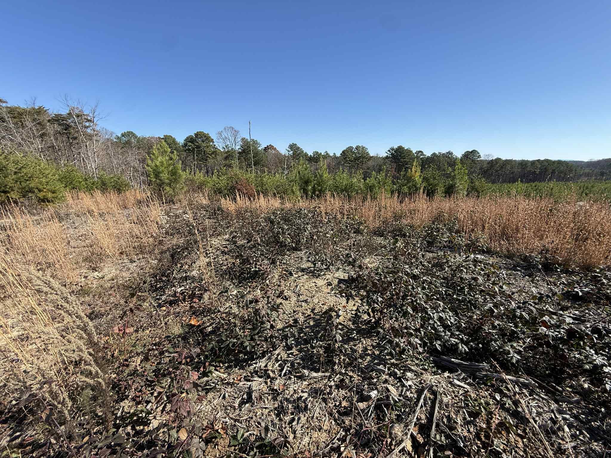 0 St Rt 399 Dunlap Tn 37327 Dunlap, TN 37327 - Photo 11 of 16 97c69994-98aa-4feb-ae81-7824c3453d86