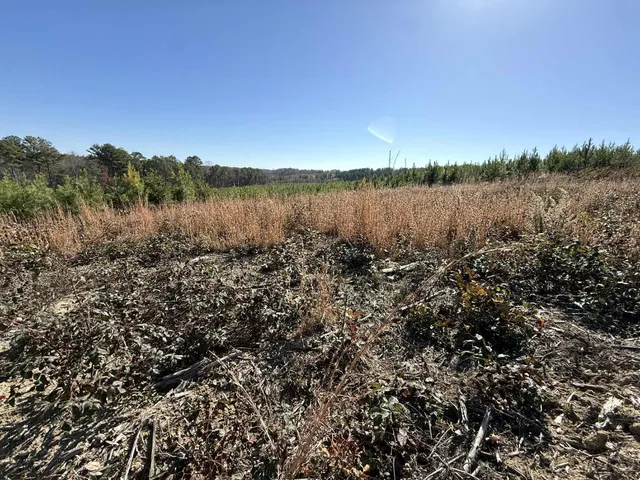 $175,000 | 0 St Rt 399 Dunlap Tn 37327, Dunlap, TN 37327