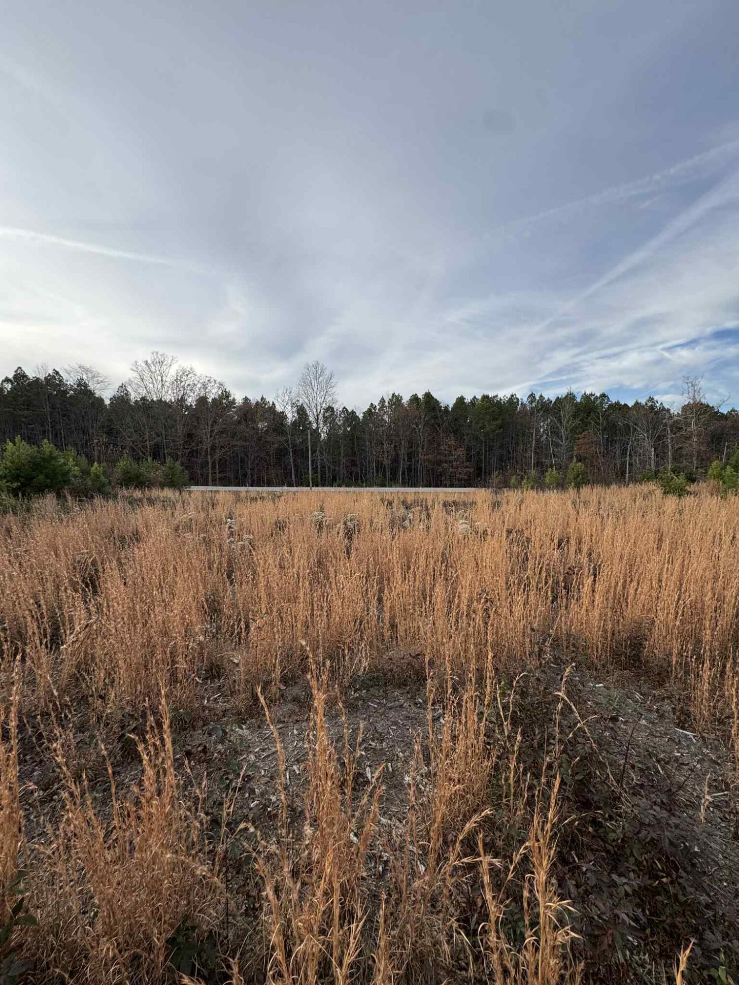 0 St Rt 399 Dunlap Tn 37327 Dunlap, TN 37327 - Photo 13 of 16 61b41302-d279-4920-b965-f707e68ffd59