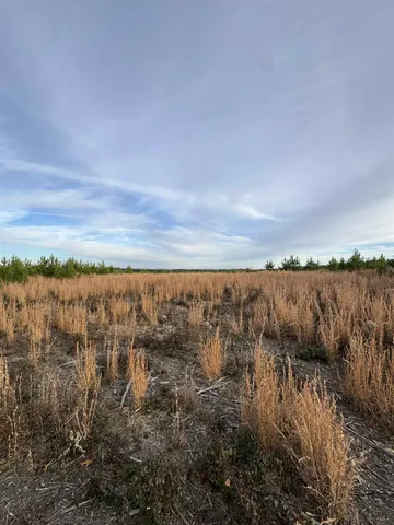 $175,000 | 0 St Rt 399 Dunlap Tn 37327, Dunlap, TN 37327