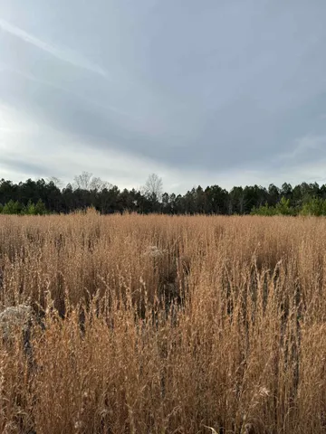 $175,000 | 0 St Rt 399 Dunlap Tn 37327, Dunlap, TN 37327