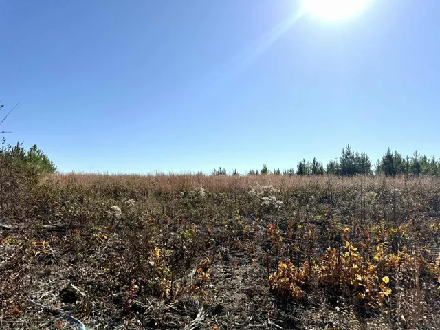 $175,000 | 0 St Rt 399 Dunlap Tn 37327, Dunlap, TN 37327