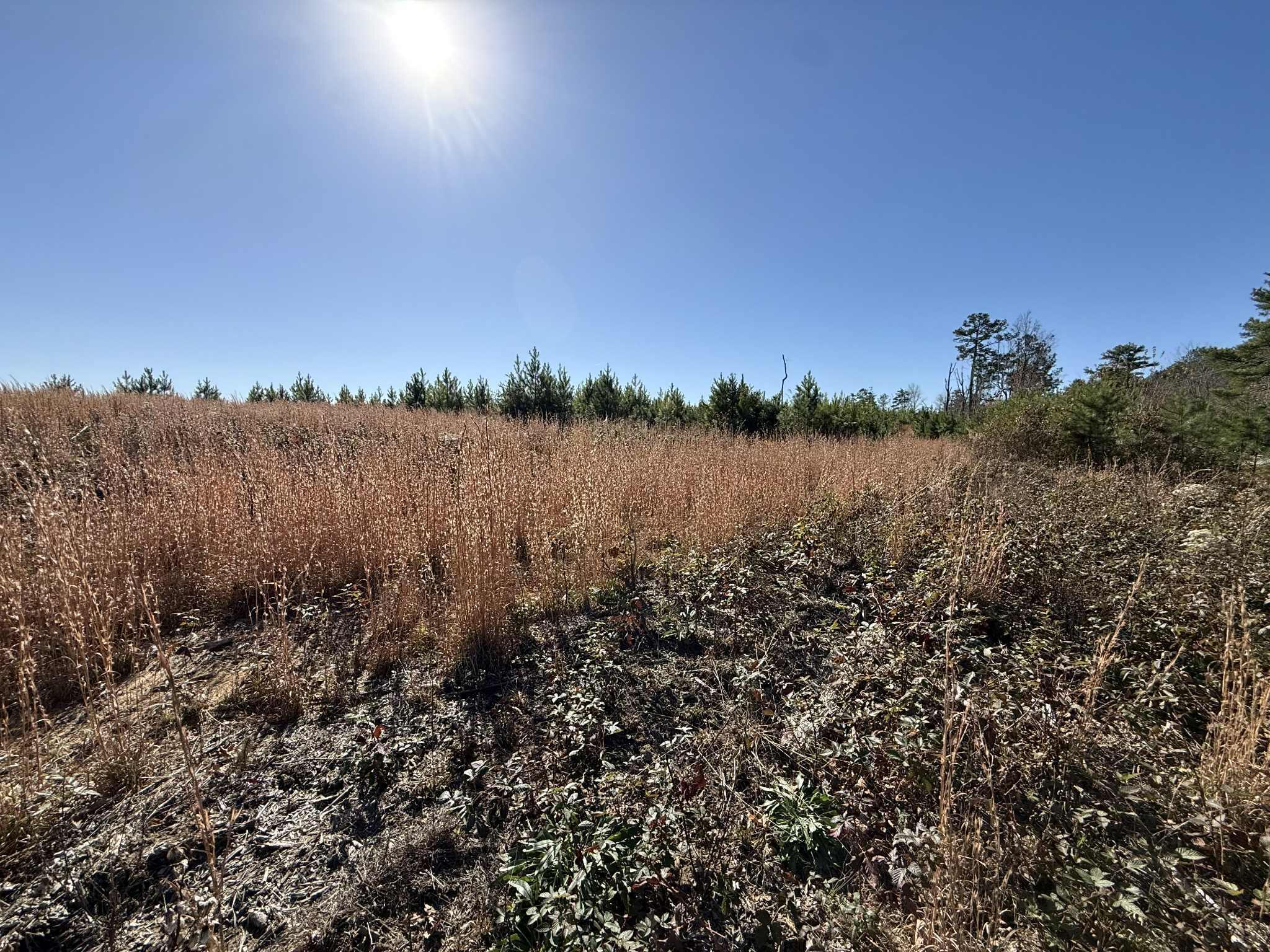 0 St Rt 399 Dunlap Tn 37327 Dunlap, TN 37327 - Photo 4 of 16 5e0e4358-97a9-4f9e-ac95-a7919cce9f33