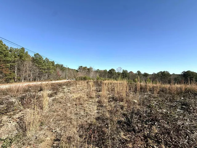 $175,000 | 0 St Rt 399 Dunlap Tn 37327, Dunlap, TN 37327