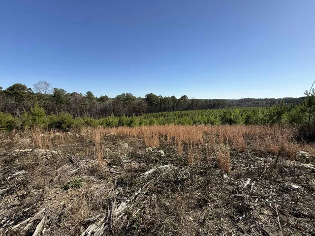 $175,000 | 0 St Rt 399 Dunlap Tn 37327, Dunlap, TN 37327