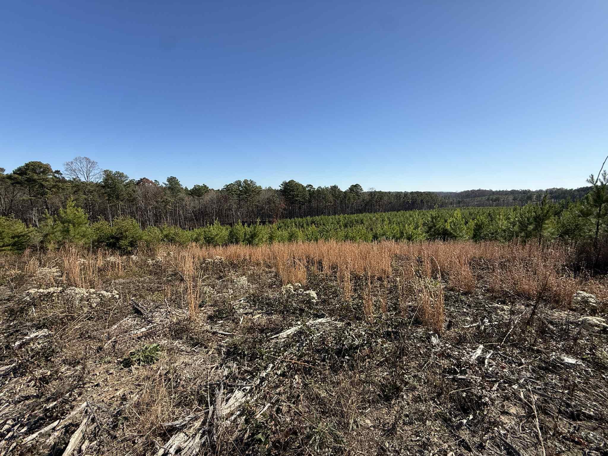 0 St Rt 399 Dunlap Tn 37327 Dunlap, TN 37327 - Photo 7 of 16 31c4635b-1583-4e98-a8fe-18f493fac6e3