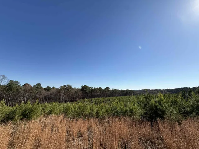 $175,000 | 0 St Rt 399 Dunlap Tn 37327, Dunlap, TN 37327