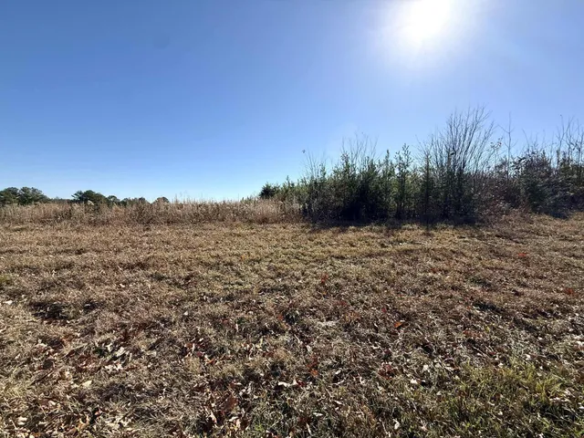 $175,000 | 0 St Rt 399 Dunlap Tn 37327, Dunlap, TN 37327