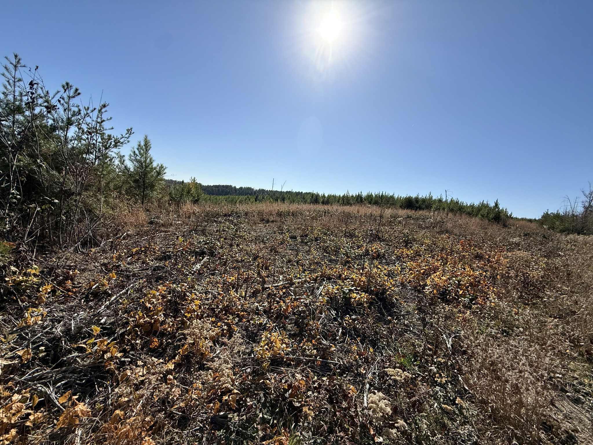 0 St Rt 399 Dunlap Tn 37327 Dunlap, TN 37327 - Photo 10 of 16 2aafb3eb-02b6-4afe-9ab3-7ebd66c966de